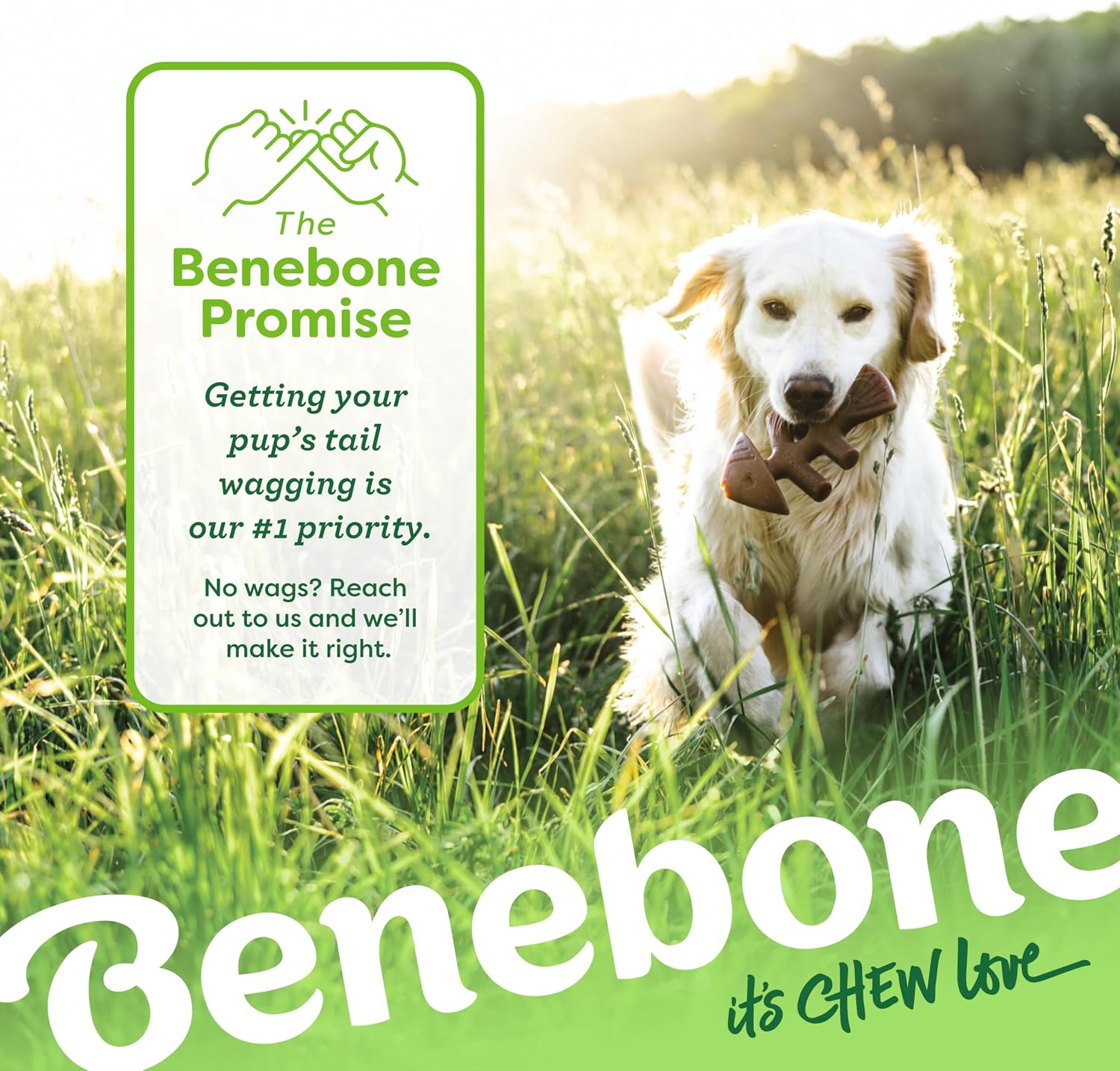 Benebone Fishbone Durable Dog Chew Toy for Aggressive Chewers, Real Fish, Made in USA, Medium - Image 6