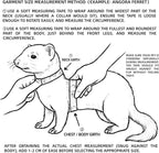 Soft breathable fabric walking vest for fancy rats and guinea pigs