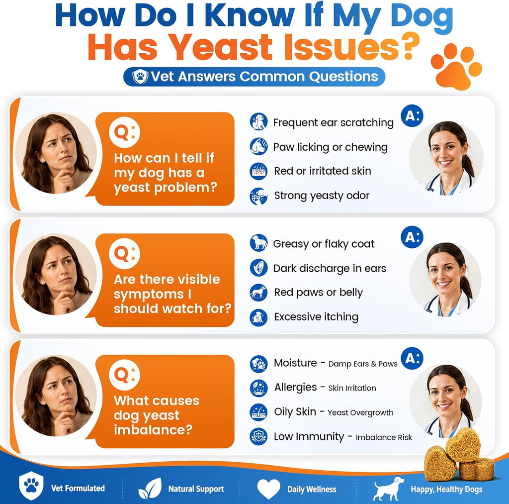 Veterinarian formulated dog supplement for ear and paw care close up view.