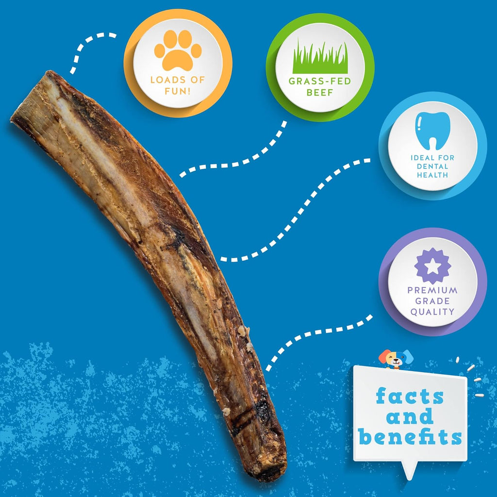 Dog chewing on Jack and Pup rib bone treat