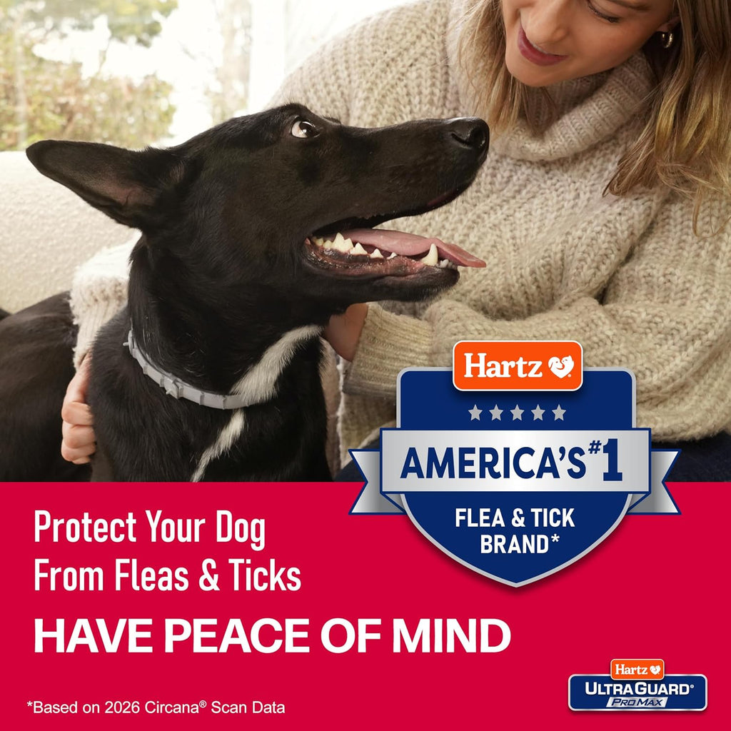 Hartz UltraGuard ProMax flea collar set for small and large dogs