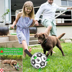 Amasiver dog toy pump and needle accessory kit