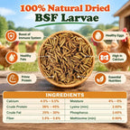Amzey 11 LB Dried Black Soldier Fly Larvae, High-Calcium Chicken Treats - Image 3
