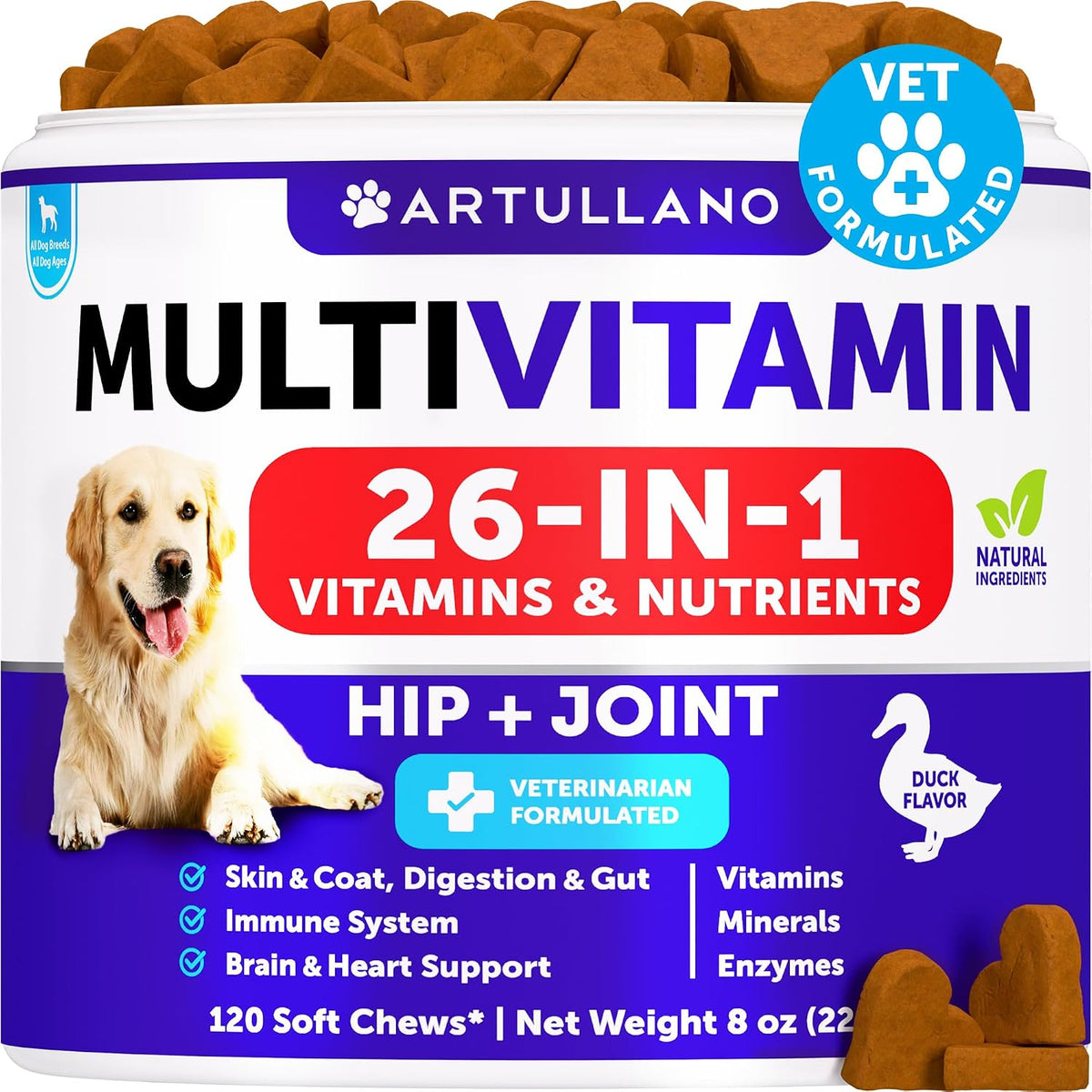 Vet Promise 26-in-1 dog multivitamin bottle front view