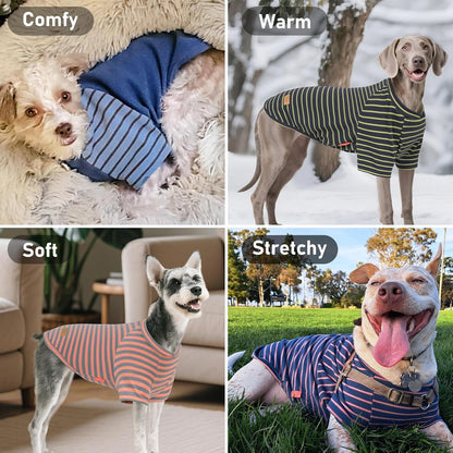 Stretchy pullover pet clothes in blue stripes texture close up view