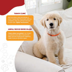 Premium TabBand temporary pet tracking collars inside high volume bulk packaging