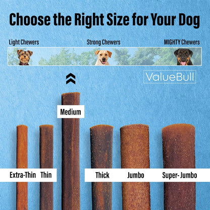 Premium beef collagen sticks for pet joint and dental health support