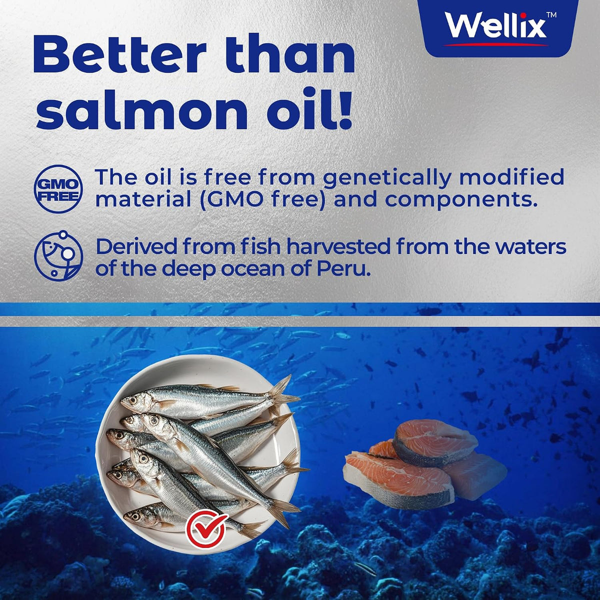 Authentic Wellix dog and cat heart health supplement packaging close up view