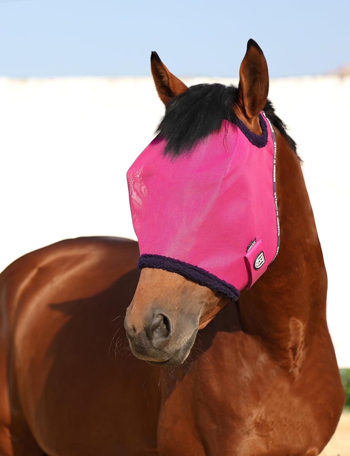 Professional packaging of Harrison Howard fly mask