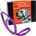 Canny no pull dog training head collar front view showing purple nylon strap.