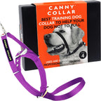 Canny no pull dog training head collar front view showing purple nylon strap.