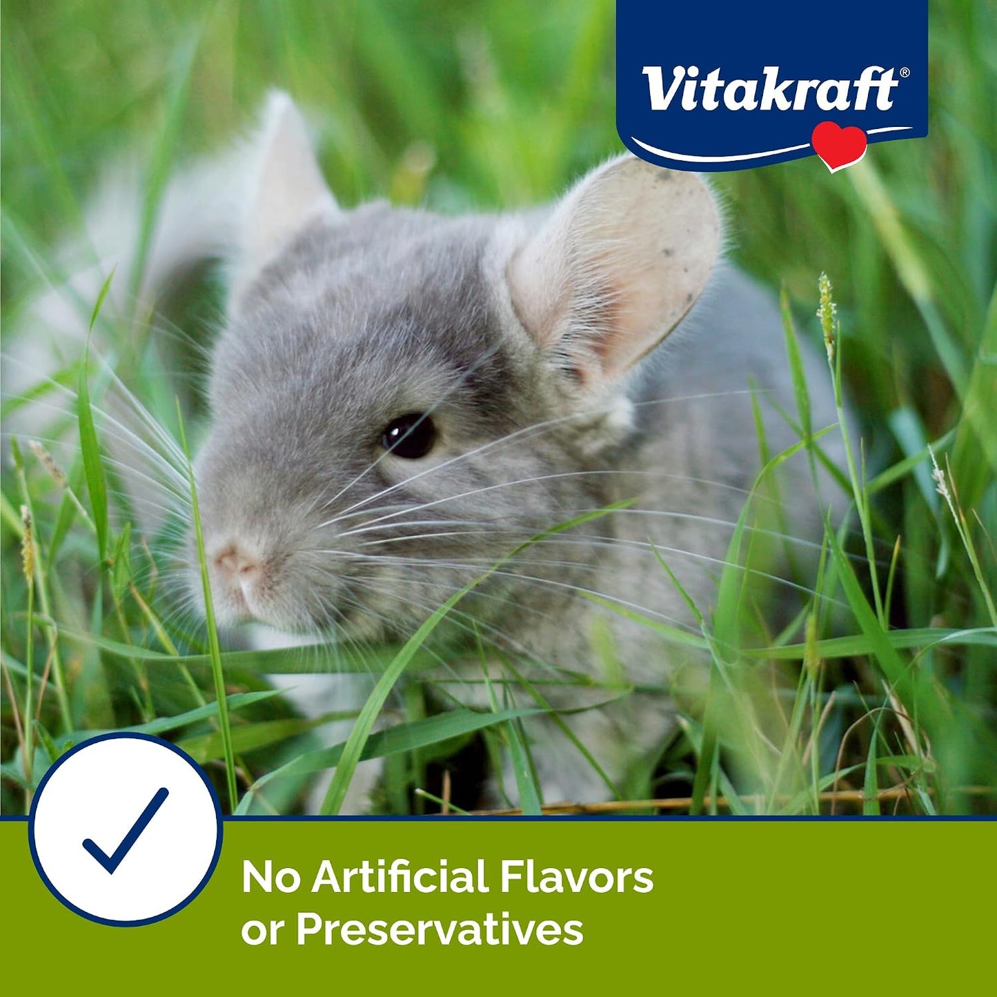 Authentic Vitakraft USA imported chinchilla reward snack blend texture details.