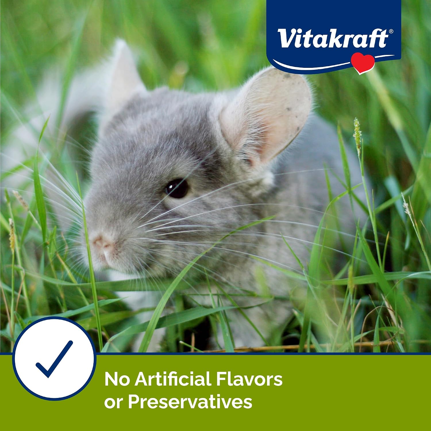 Authentic Vitakraft USA imported chinchilla reward snack blend texture details.