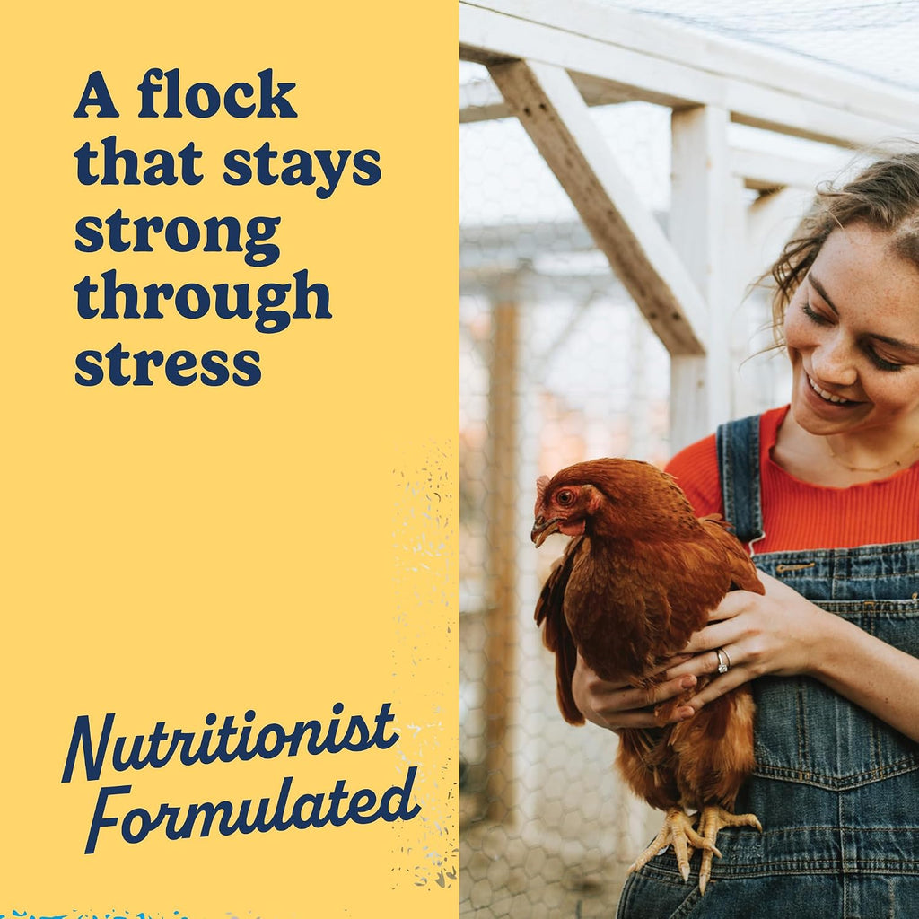 Manna Pro Hydro-Hen Poultry Supplement, Digestive & Probiotic, 20 oz - Image 4