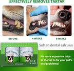 Petstoral dental powder scoop and texture