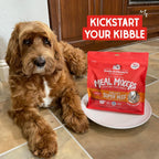 Stella & Chewy's Freeze-Dried Raw Beef Meal Mixers- Dog Food Topper and Mixer - Made with 95% Grass-Fed Beef, Organs & Bone - Perfect for Picky Eaters - Grain-Free - 1 oz - Image 9