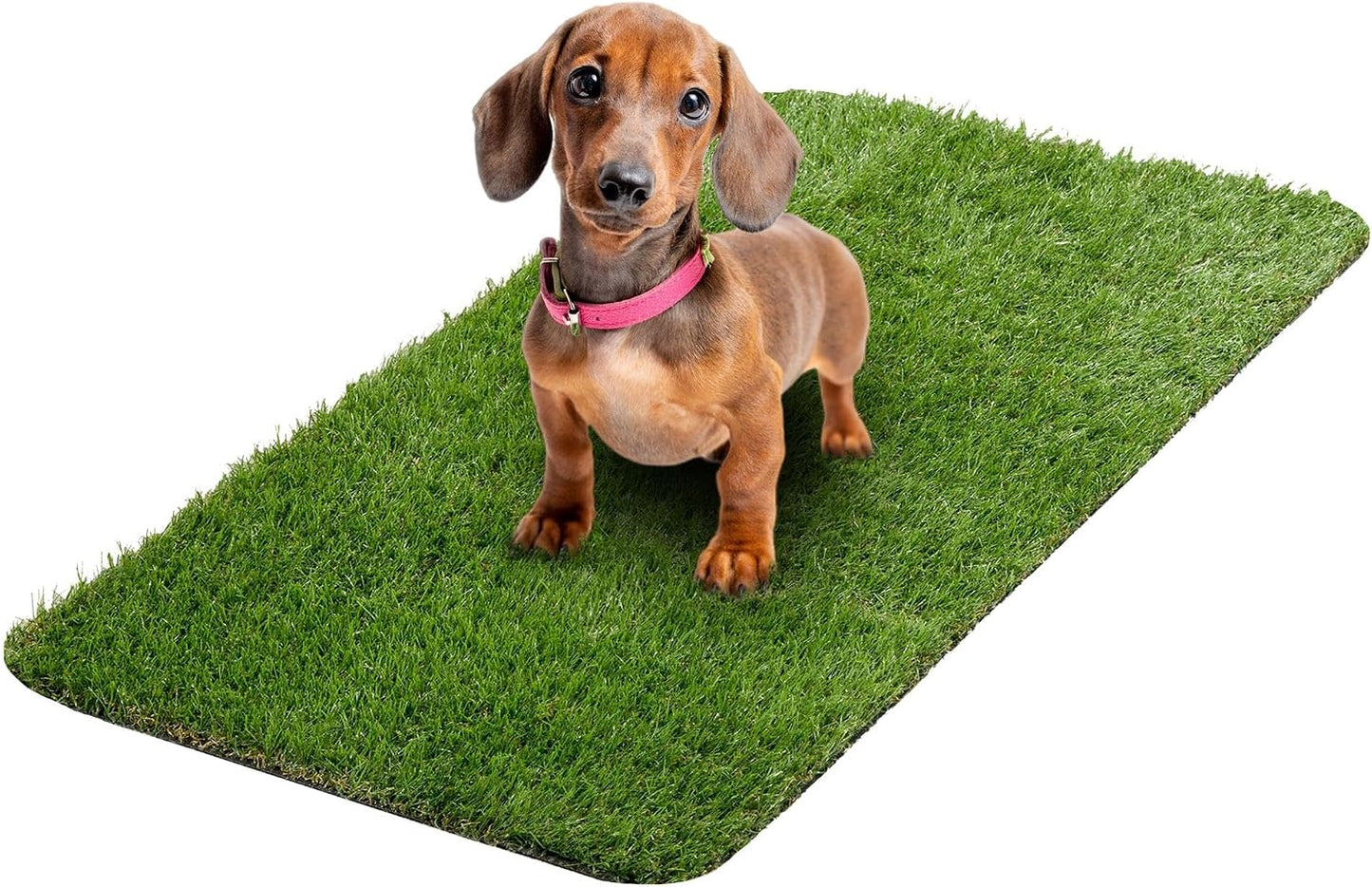 Ottomanson Artificial Grass Puppy Potty Training Pad with Tray, 15" x 30" Reusable Pee Pad for Small Pets and Dogs - Image 12