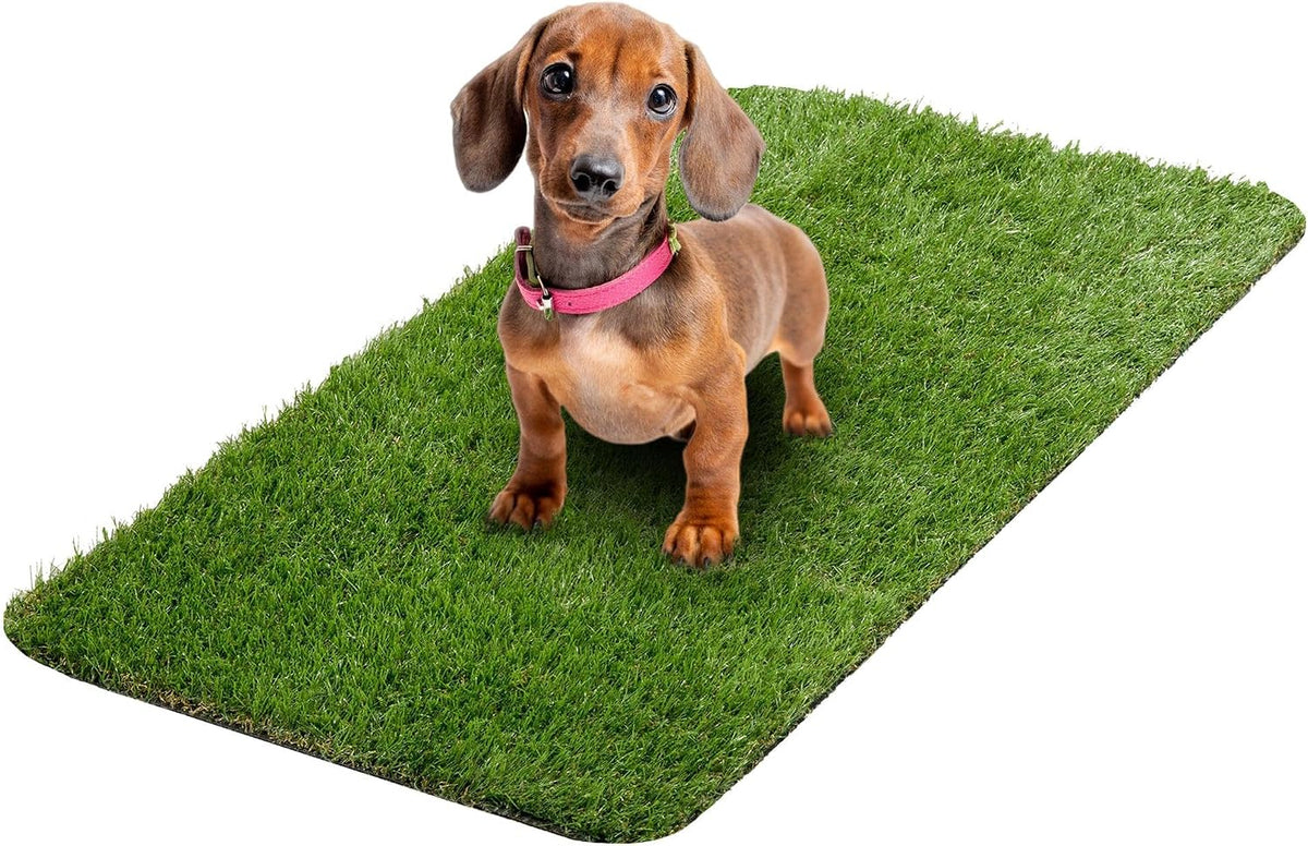 Ottomanson Artificial Grass Puppy Potty Training Pad with Tray, 15" x 30" Reusable Pee Pad for Small Pets and Dogs - Image 12