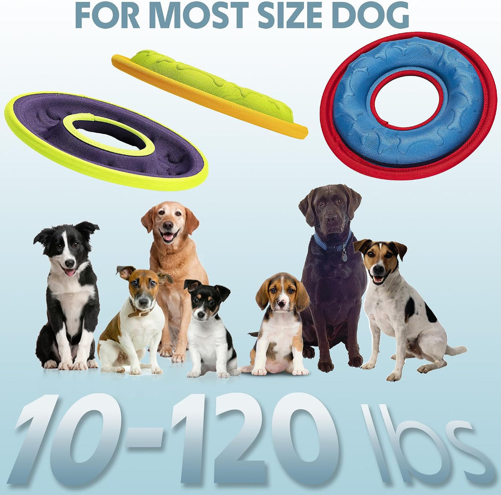 Interactive play session with Hongezey flyer toy
