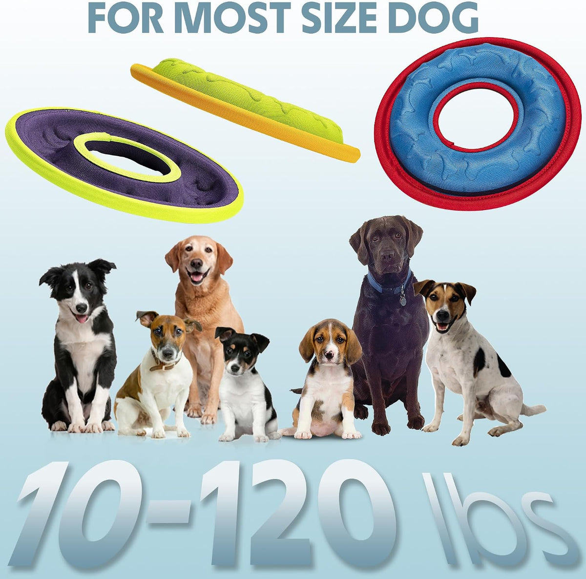 Interactive play session with Hongezey flyer toy