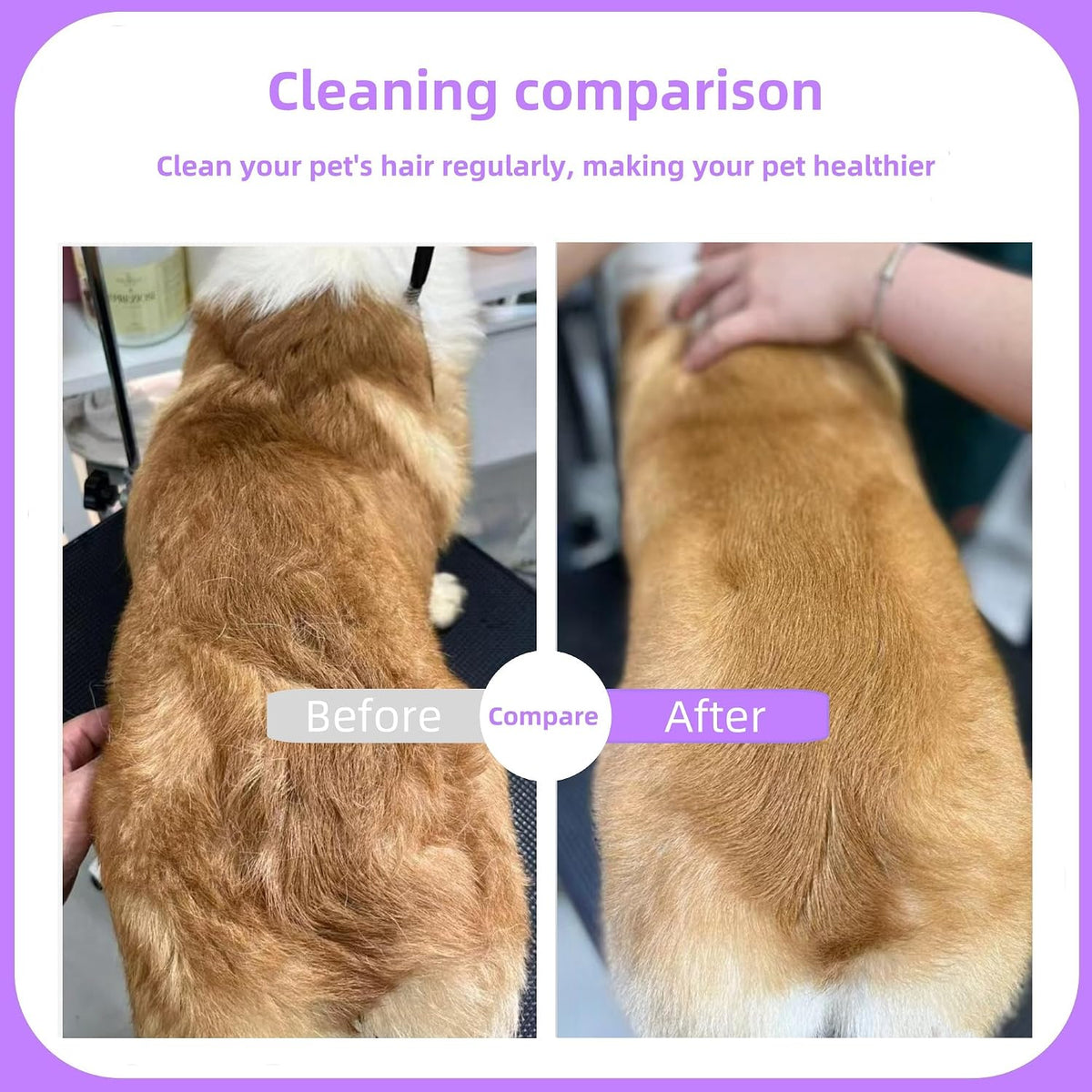Nadusep grooming tool removing loose hair from dog coat