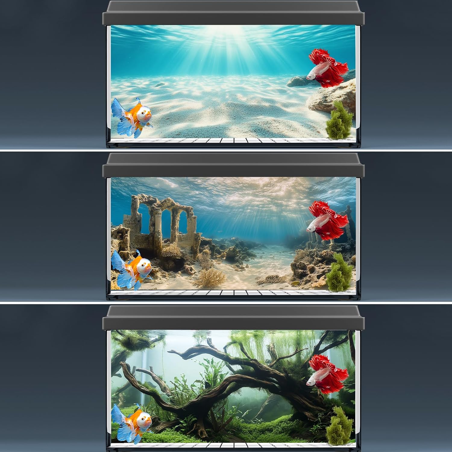 COMSUN premium ocean floor theme background for Indian aquascaping