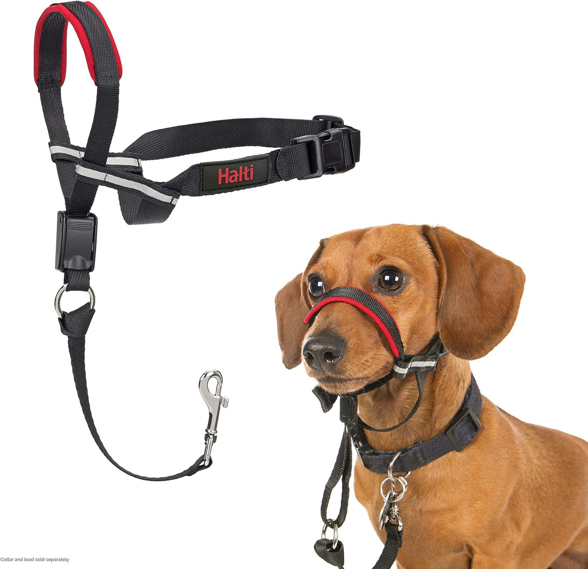 Halti Optifit Headcollar - Stop Your Dog Pulling on the Leash. Adjustable, Reflective and Lightweight, with Padded Nose Band. Dog Training Anti-Pull Collar for Medium Dogs (Size Medium) - Image 7