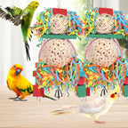 Small parrot playing with BBjinronjy shredding toy