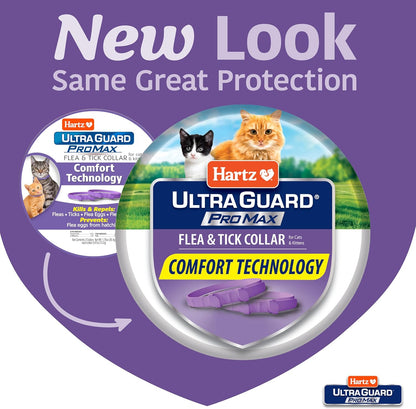 Hartz cat flea collar packaging showing 14 months protection