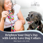 Premium imported Lucky Love Dog collar displayed flat showing adjustable slides.