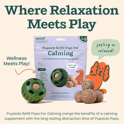 Dog enjoying long lasting Woof calming wellness pop