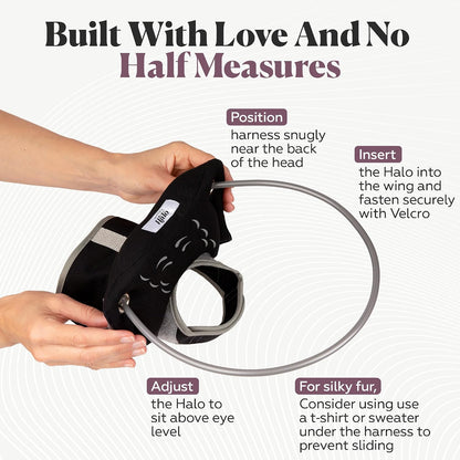 Muffin's Halo Black Size 7 lightweight bumper halo ring detail