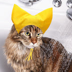 Close up of chin strap mechanism on Sezdeki pet hat