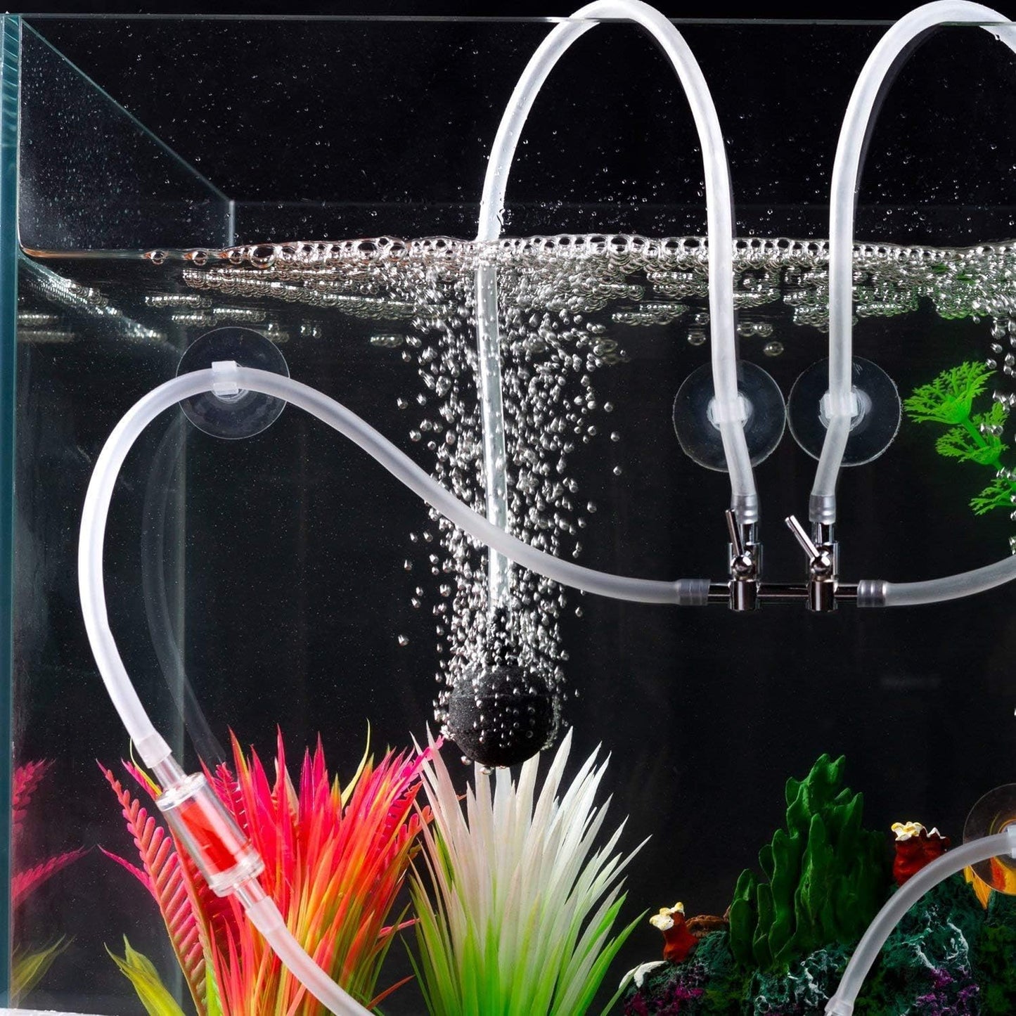 Aquarium suction cups holding air line tubing against clean glass.