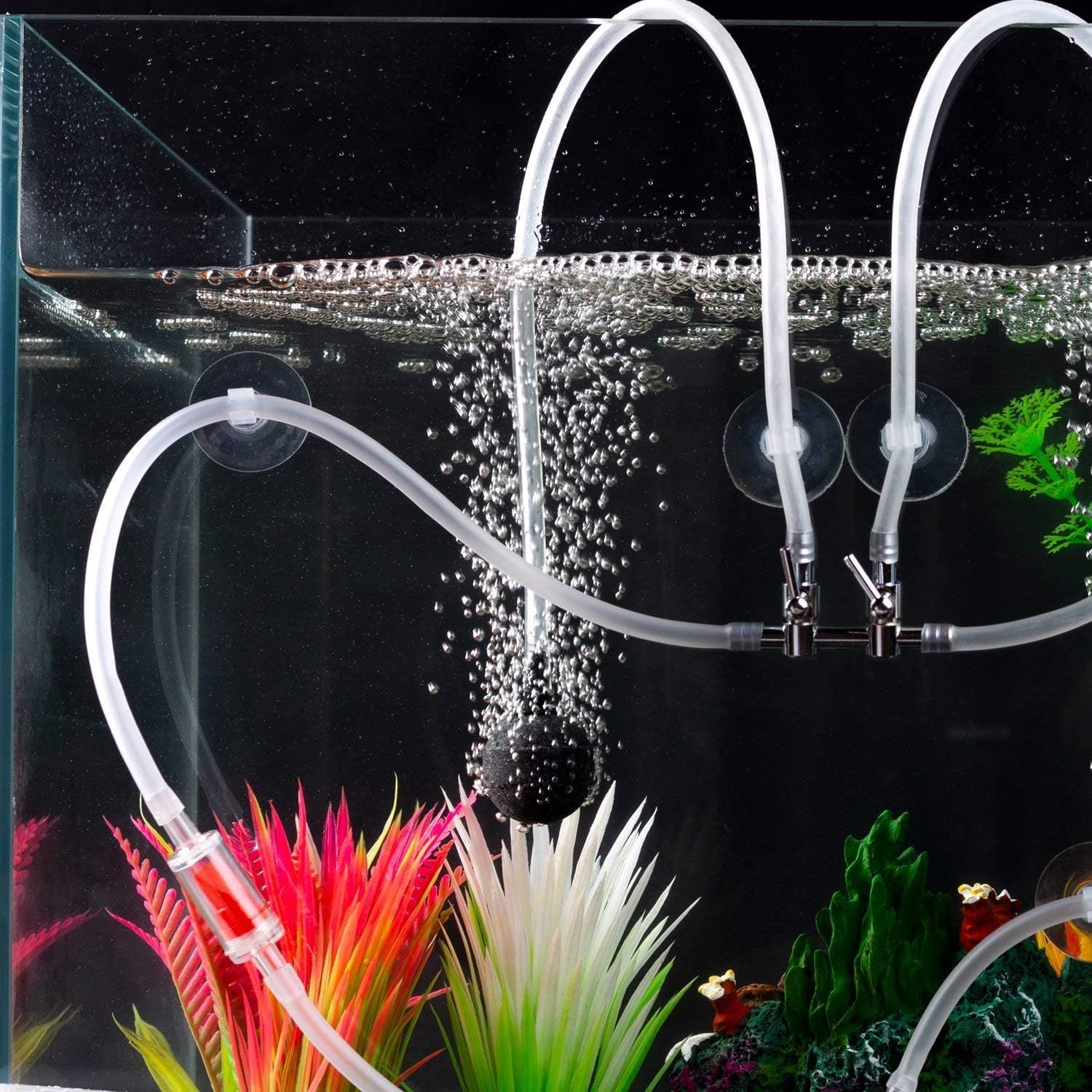 Aquarium suction cups holding air line tubing against clean glass.