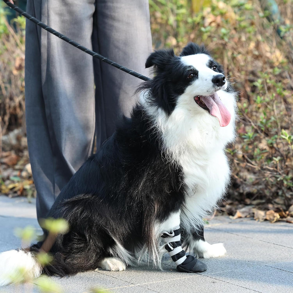 Instructions on how to measure dog paw for Snugrance boots