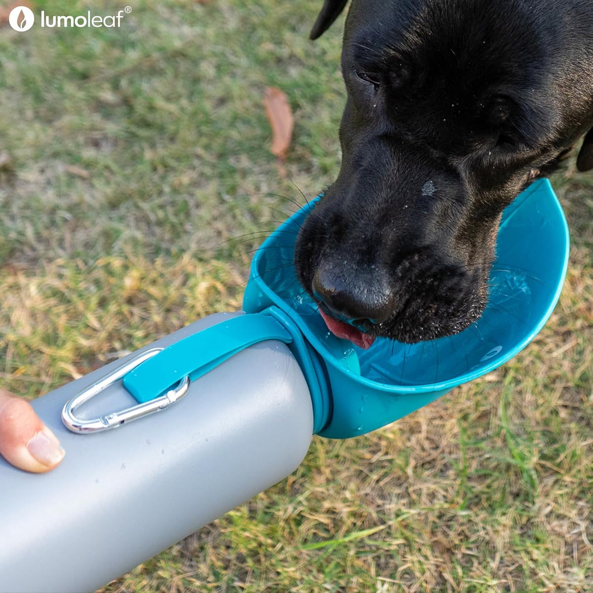 Leak proof locking mechanism on the cap of pet water bottle.