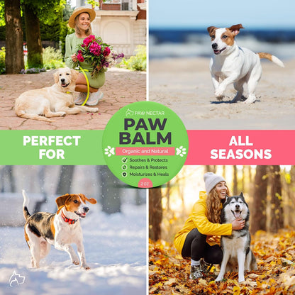 Close up of dog paw before and after using Paw Nectar balm