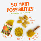Natural pumpkin puree supplement for pet digestive support