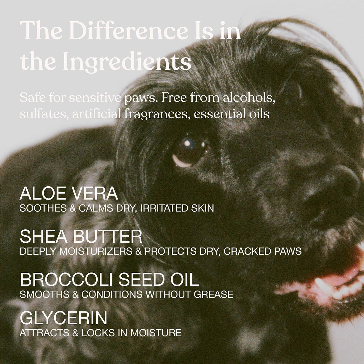 Fragrance-free and lick-safe Dandylion dog moisturizer bottle with cap removed
