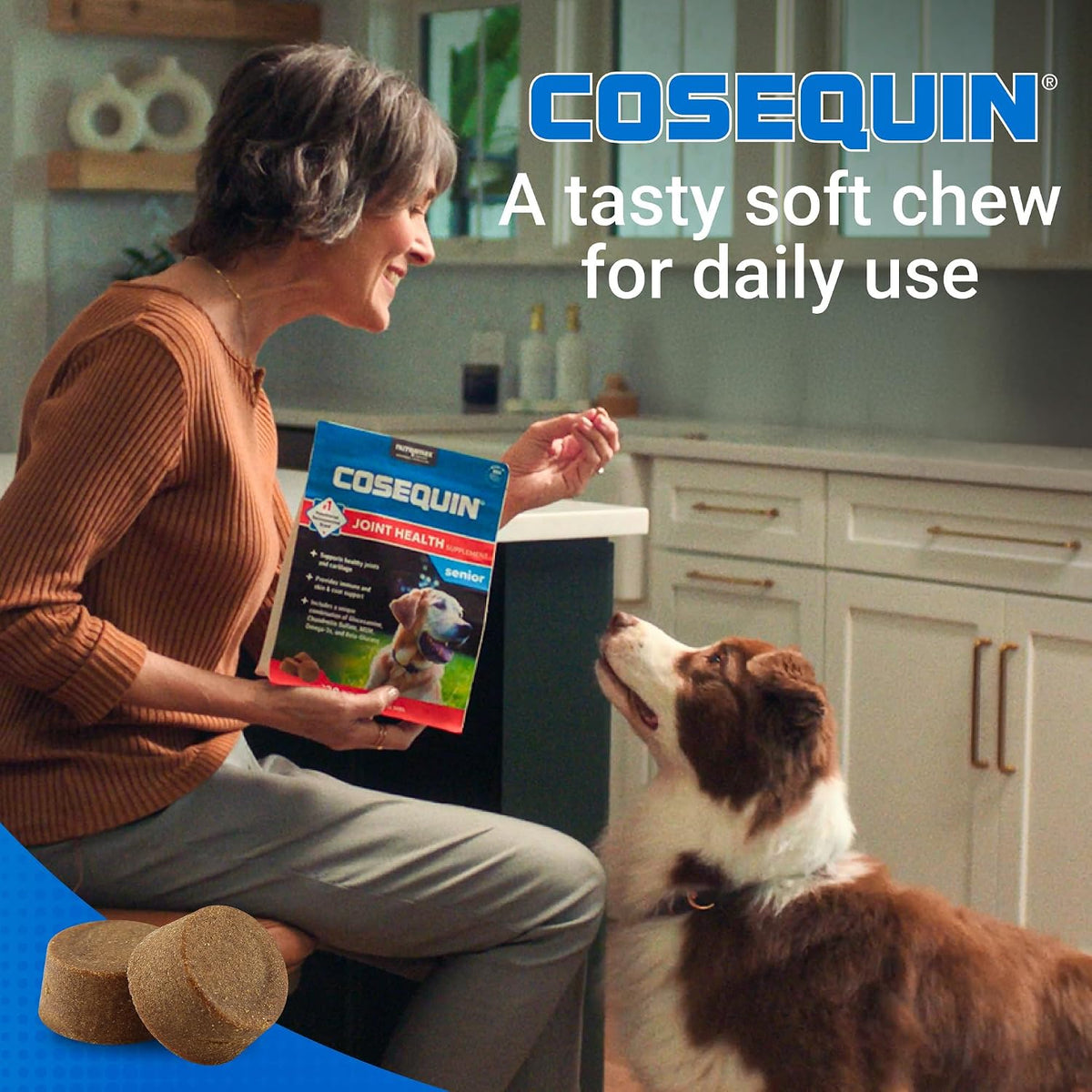 Nutramax Cosequin senior dog mobility health supplement ingredients panel