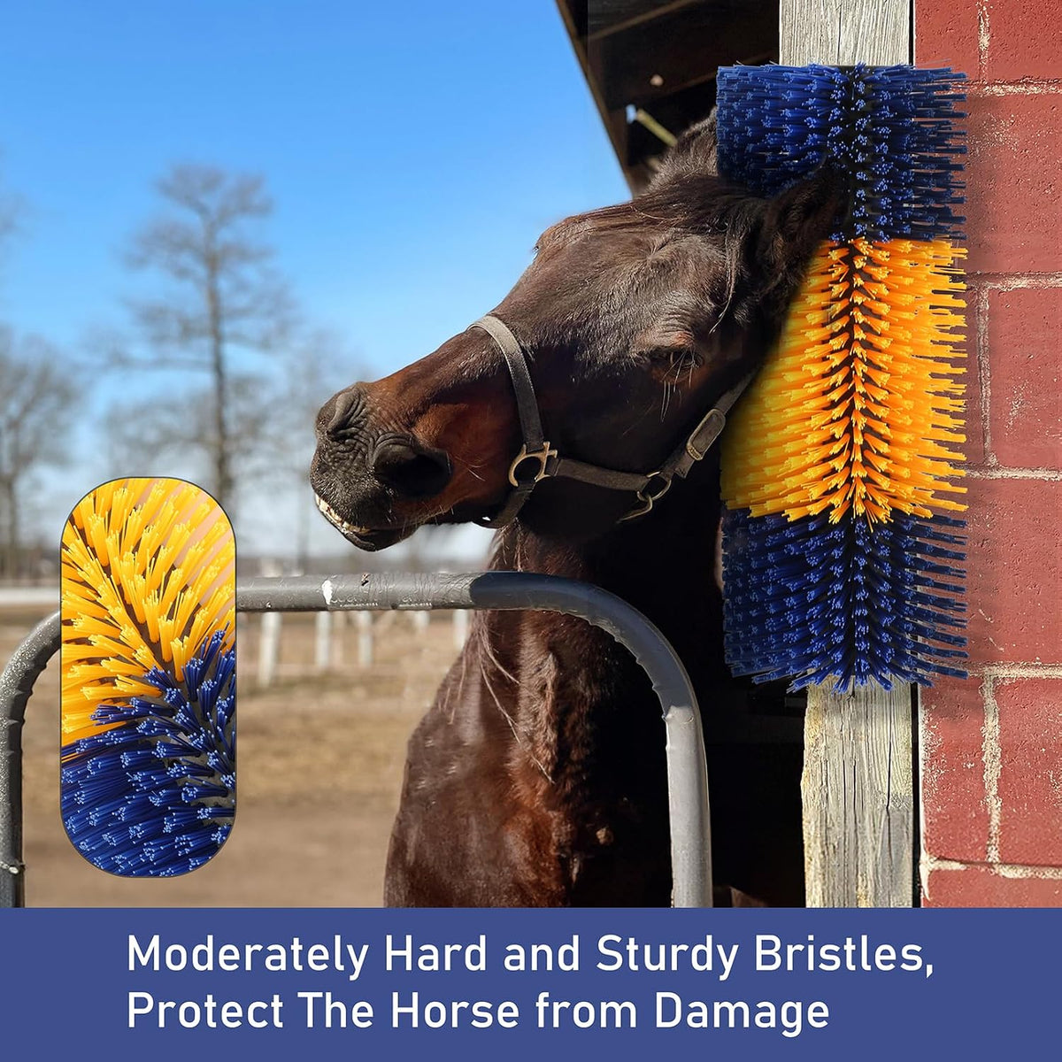 Cattle supplies scratching brush for farm use