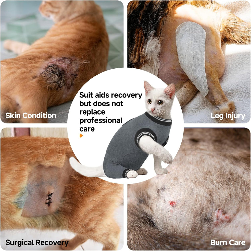 Cat resting comfortably in Yternal post-surgery suit