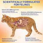 Nutritional details and active ingredients on the back label of Duduboy feline appetite booster.
