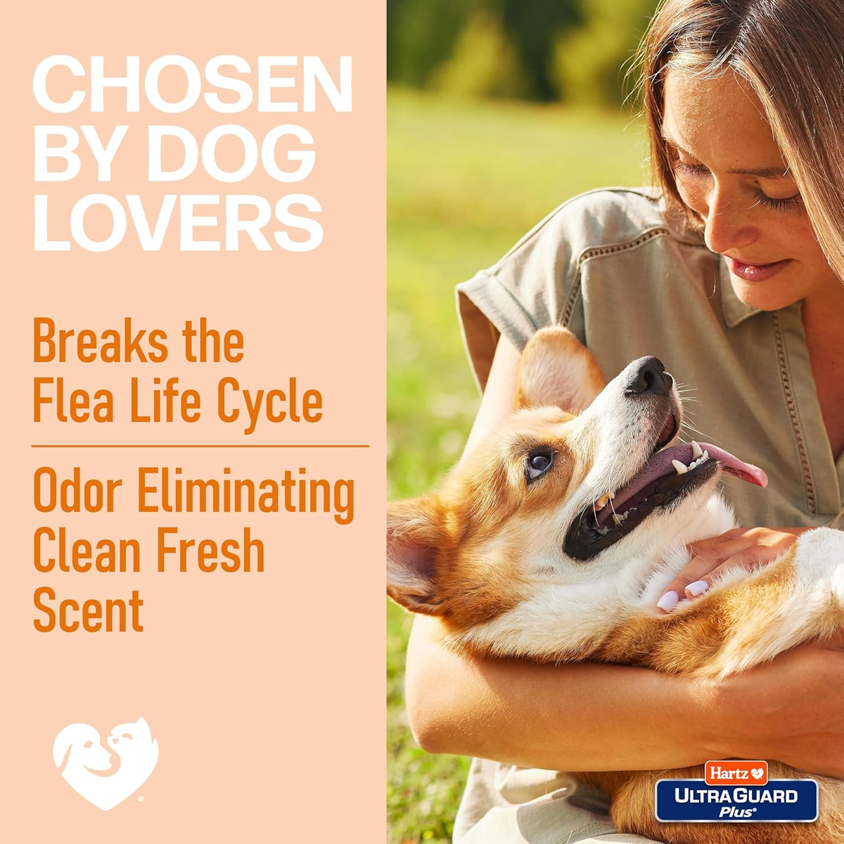 Hartz flea and tick home spray sitting on carpet surface