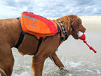 Bark Brite canine flotation vest with detachable orange storage pouches side profile