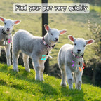 Durable weatherproof goat collar showing the quick release safety breakaway buckle mechanism details