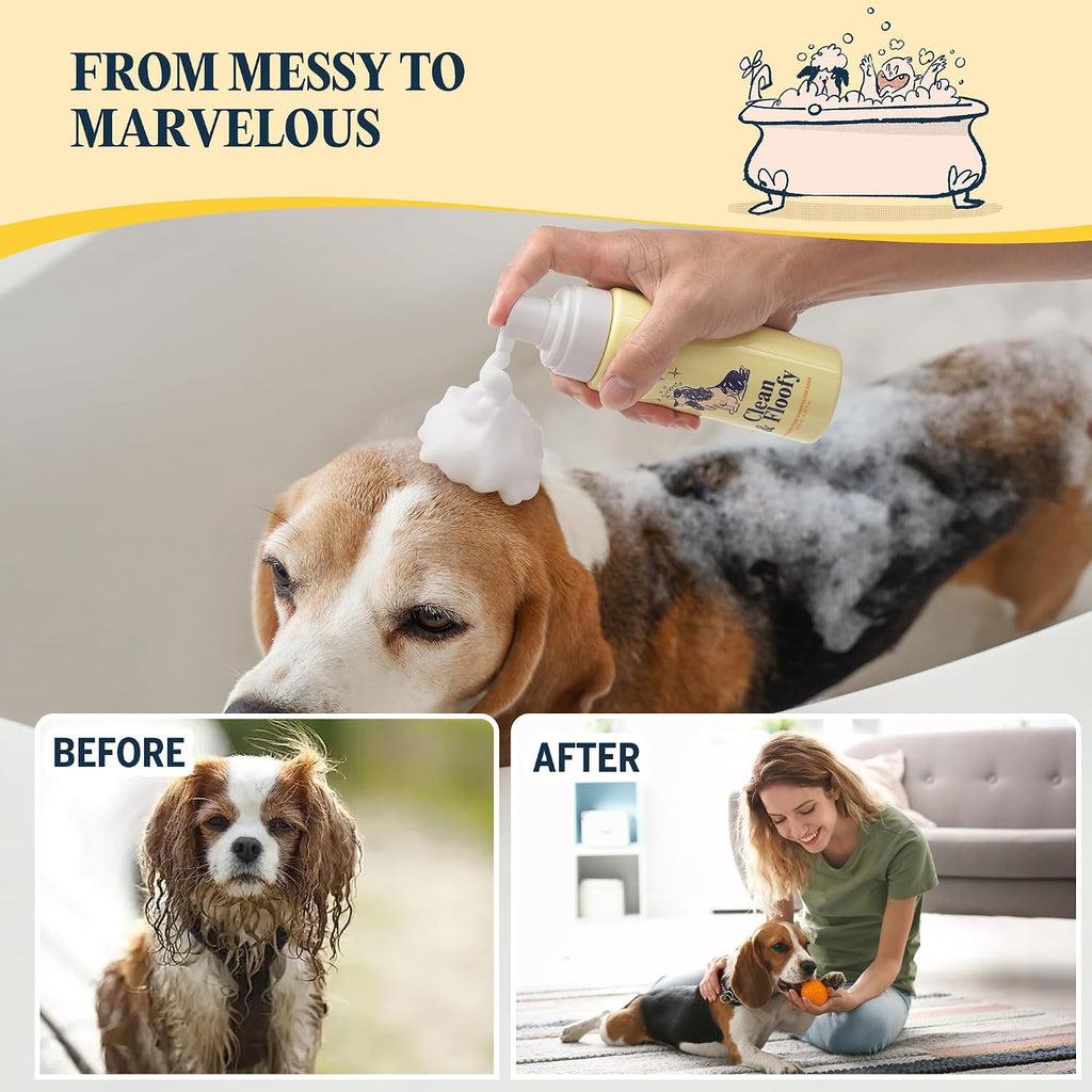 Healthy dog after using waterless dry shampoo