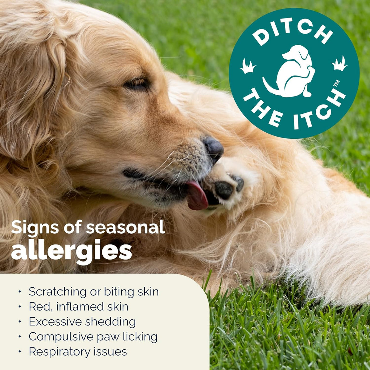 Vetnique skin and coat health supplement for dogs experiencing seasonal skin allergies