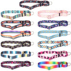 YOUALSO no pull cinch dog collar side angle showing mirror finish hardware